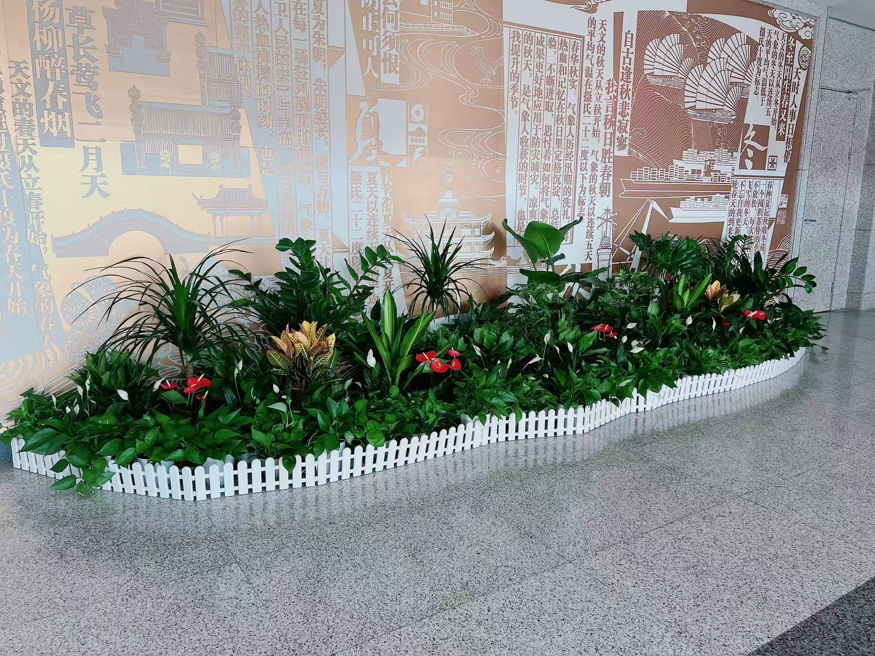 解锁镇海花卉租摆方案，畅享花卉租摆新魅力亡